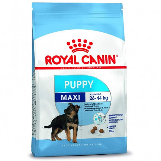 Maxi Puppy