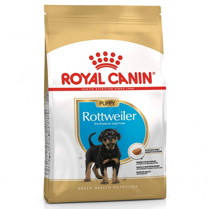 Rottweiler Puppy - 12 kg