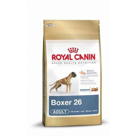 Boxer Adult - 12 kg