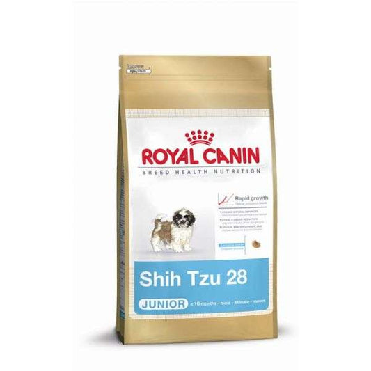 Shih Tzu Junior - 1,5 kg