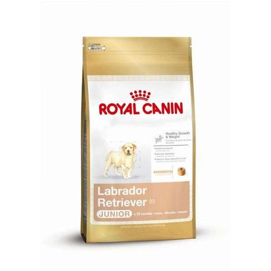 Labrador Retriever Junior - 12 kg