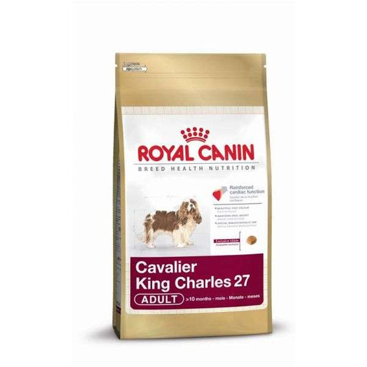 Cavalier King Charles Adult - 1,5 kg