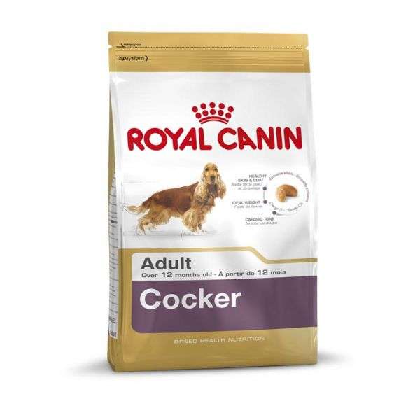 Cocker Adult