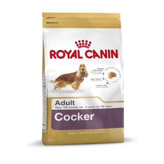 Cocker Adult