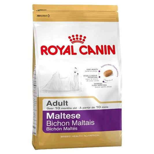 Maltese 24 Adult