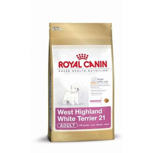 West Highland Terrier Adult - 3 kg